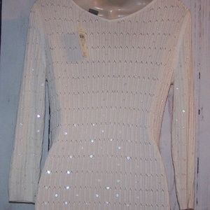 Ann Taylor Sweater